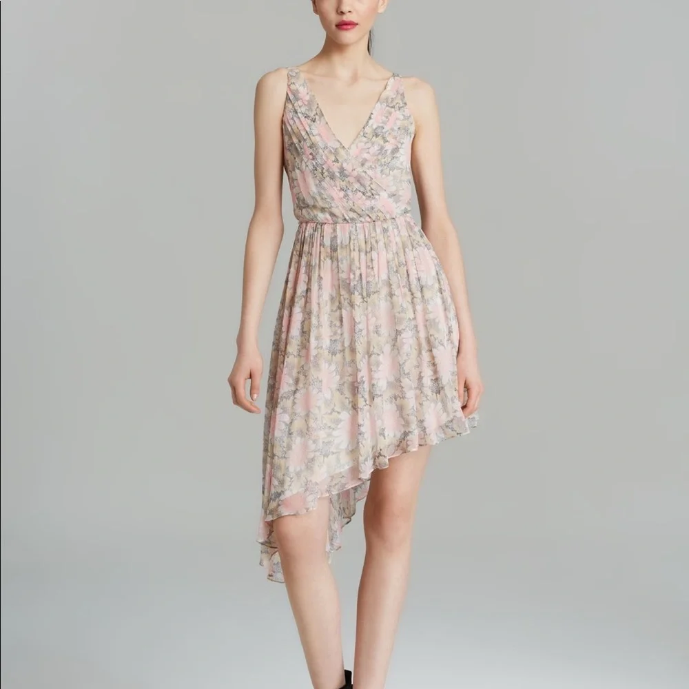 Elizabeth and James Manette Dress